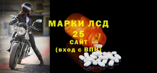 хмурый Туринск