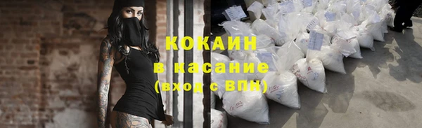 ГАЛЛЮЦИНОГЕННЫЕ ГРИБЫ Тында