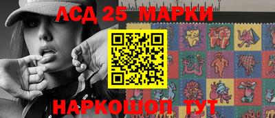 индика Партизанск