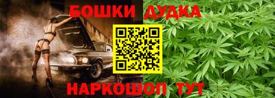 индика Партизанск