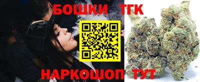 индика Партизанск