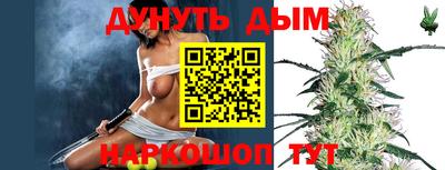 индика Партизанск