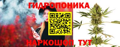 бошки Пенза