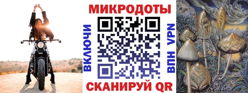 Галлюциногенные грибы ЛСД  Чернушка 